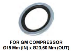 Kit GASKET GM 15MM CONF.DA 2PZ