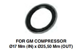 Kit GASKET GM 17MM CONF.DA 2PZ