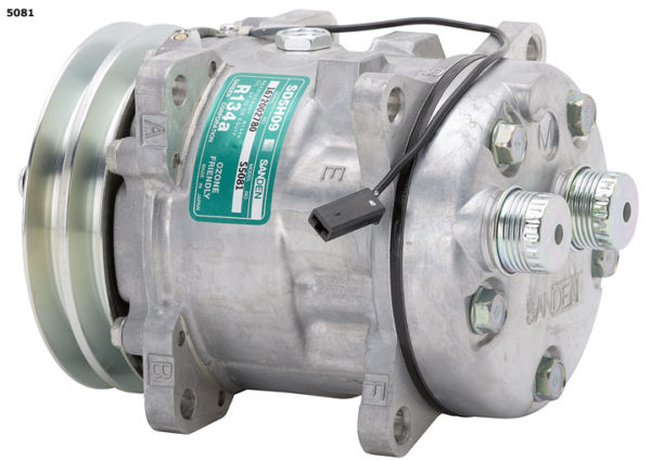 Compressore 5081-5601- 5H09M 2G.D.125 ROTAL.ORIZ