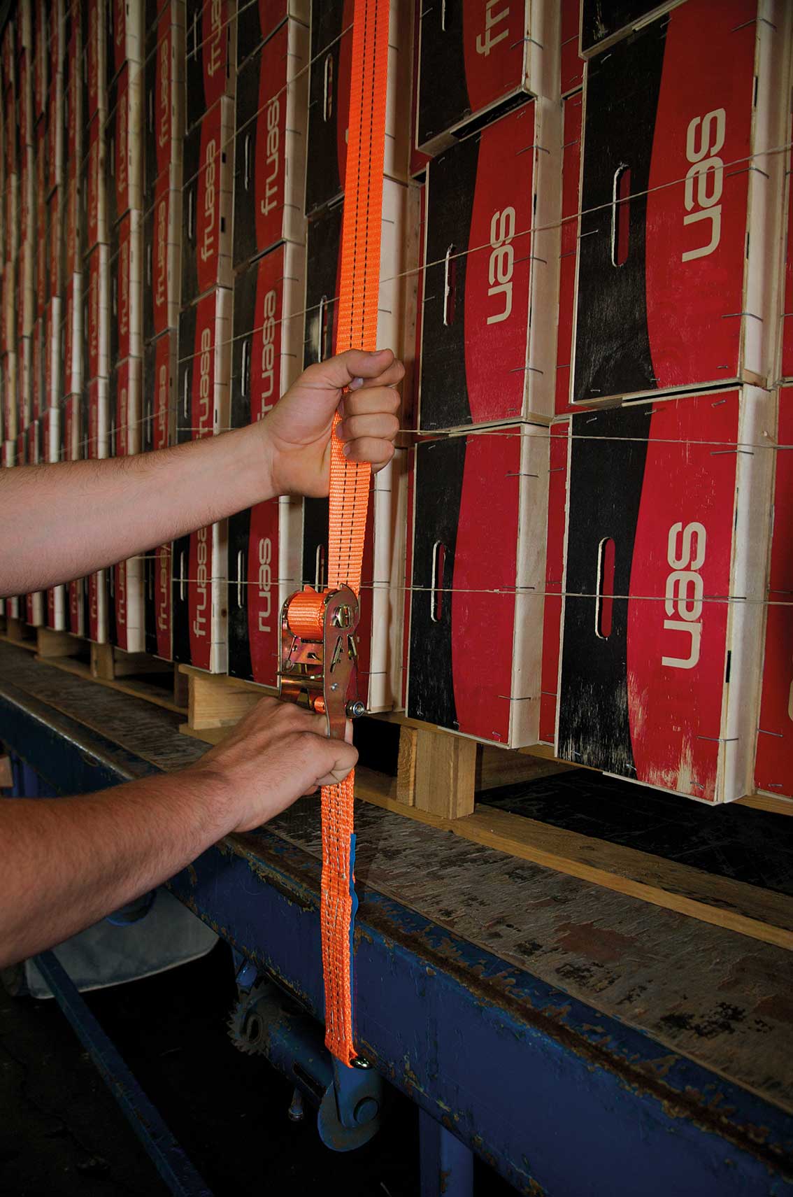 MURTRA NP37435PK003 PROFESSIONAL Kit: 2 “2T” anchors 35 mm x 6 m, 2 straps with 25 mm buckle x 2.5 m